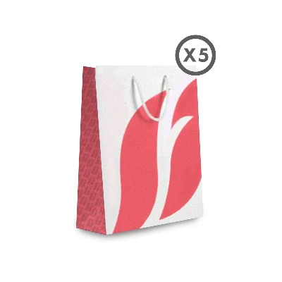 image of Big Coral Carton Bag Set of 5