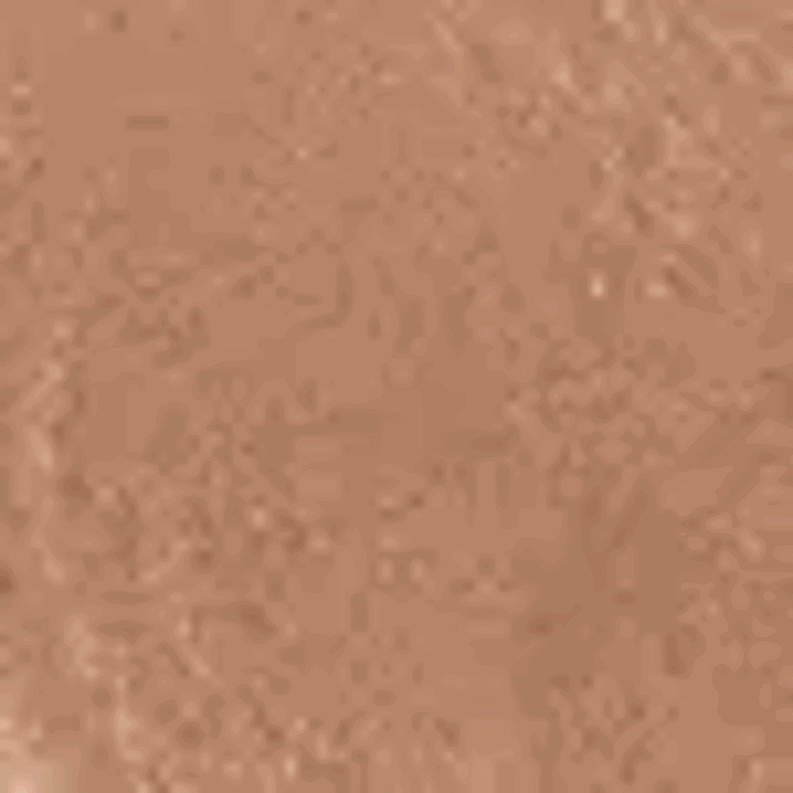 1002877